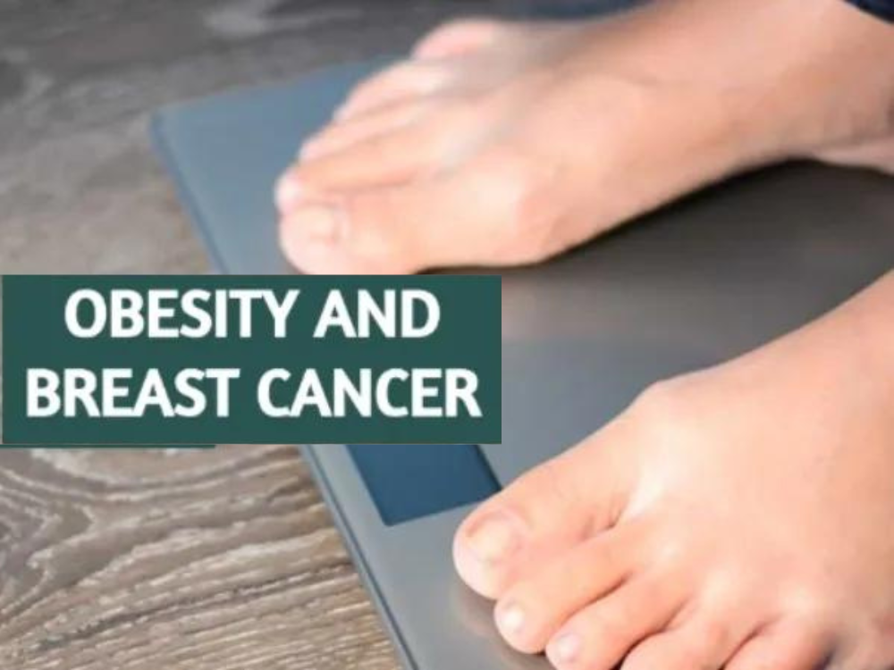 Obesity and Cancer